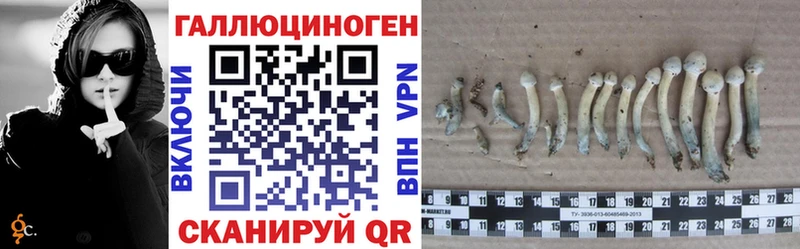 Галлюциногенные грибы ЛСД  купить наркоту  Салаир 